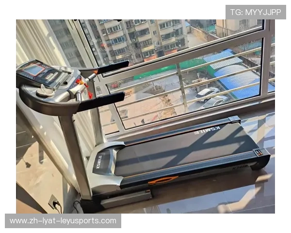 哈尔滨康乐佳健身器材分部概况及本地市场影响力