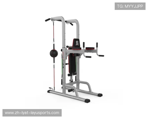 蓝色健身器材造型及功能特点解析